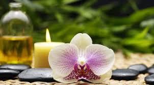 Layanan Massage SPA & Pijat Panggilan di Kota Surakarta City Central Java (Putri-Spa). Putri Spa adalah layanan pijat panggilan yang beroperasi selama 24 jam, menawarkan kenyamanan dan kemudahan bagi mereka yang mencari relaksasi dan perawatan tubuh di tempat dan waktu pilihan mereka. Dengan tim terapis yang profesional dan berpengalaman, Putri Spa menyediakan