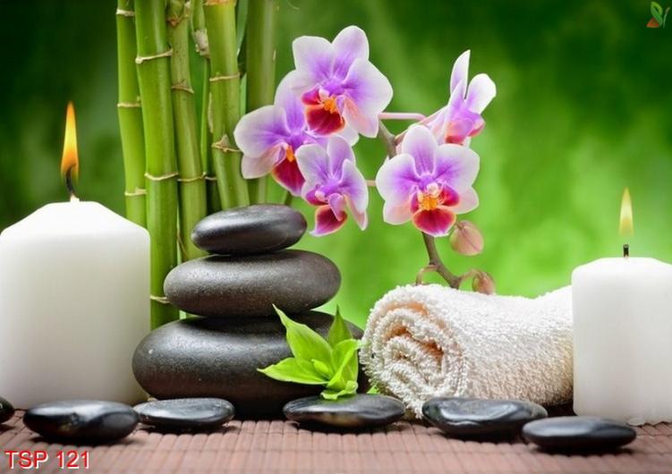 Rekomendasi Pijat Panggilan Bandung ~ Putri Spa. Putri Spa adalah sebuah komunitas jasa kebugaran online dengan pelayanan door to door, mempunyai misi untuk membantu kebugaran customer. Ada bermacam -macam jasa pelayanan di Putri Spamulai dari pijat panggilan tradisional, massage full body, teraphis kesehatan, dan